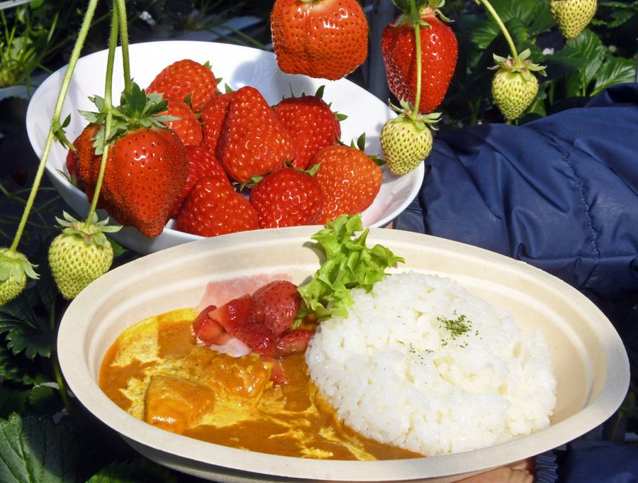 動画 優しい甘さのイチゴカレー ２ ６から販売 高知県南国市の西島園芸団地 高知新聞