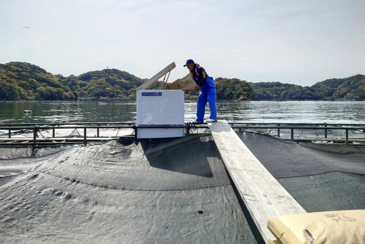テンヤで追ったマダイと 新天地は養殖いけす 上杉一臣 魚信 はっぴぃ魚ッチ 高知新聞