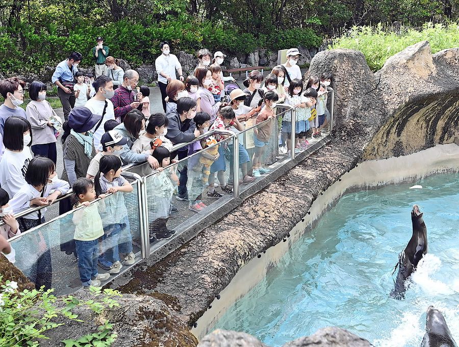 大勢の来客でにぎわう県立のいち動物公園(1日、香南市野市町)