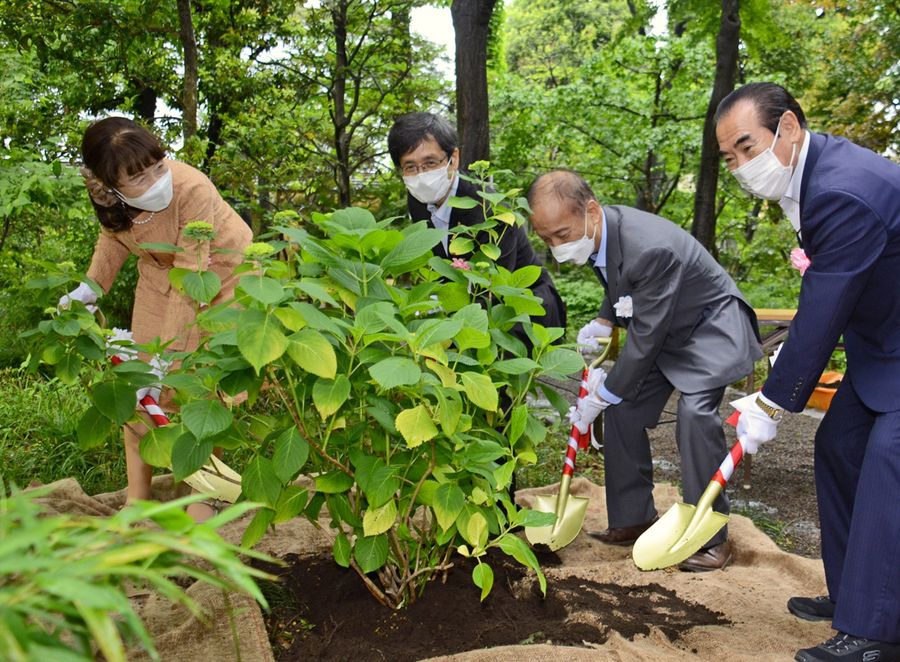 関係者が集まって行われたヒメアジサイの植樹式(東京都練馬区)