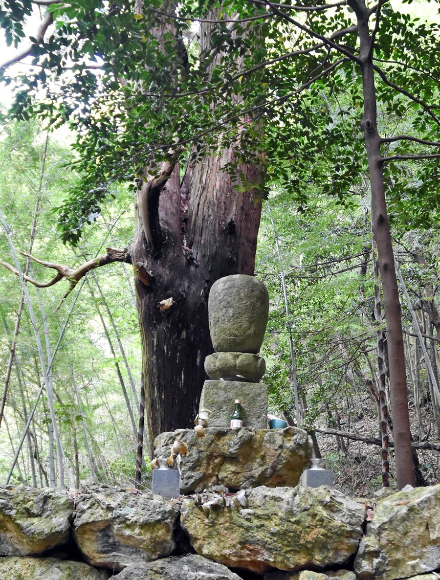 源希義の墓とされる「西養寺跡　無縫塔」。県内では数少ない室町時代以前の無縫塔で、高知市保護有形文化財（高知市介良）