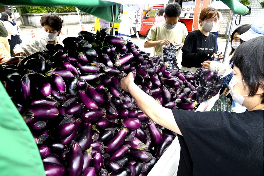 ナスの詰め放題を楽しむ人たち（安芸市本町３丁目）