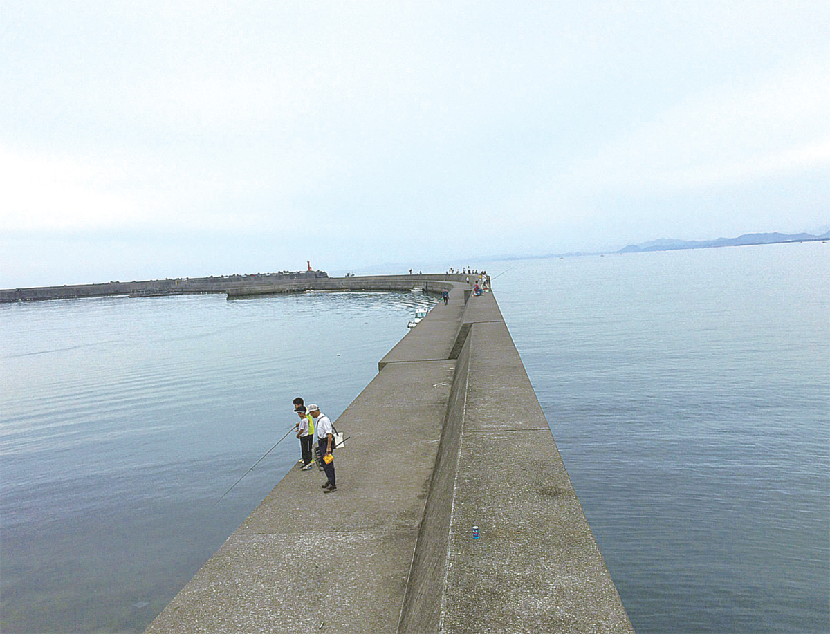 【稀少】よく釣れる防波堤釣り入門―オール図解・仕掛けから釣り方まで 高橋岩人 稀少】よく釣れる防波堤釣り入門―オール図解・仕掛けから釣り方