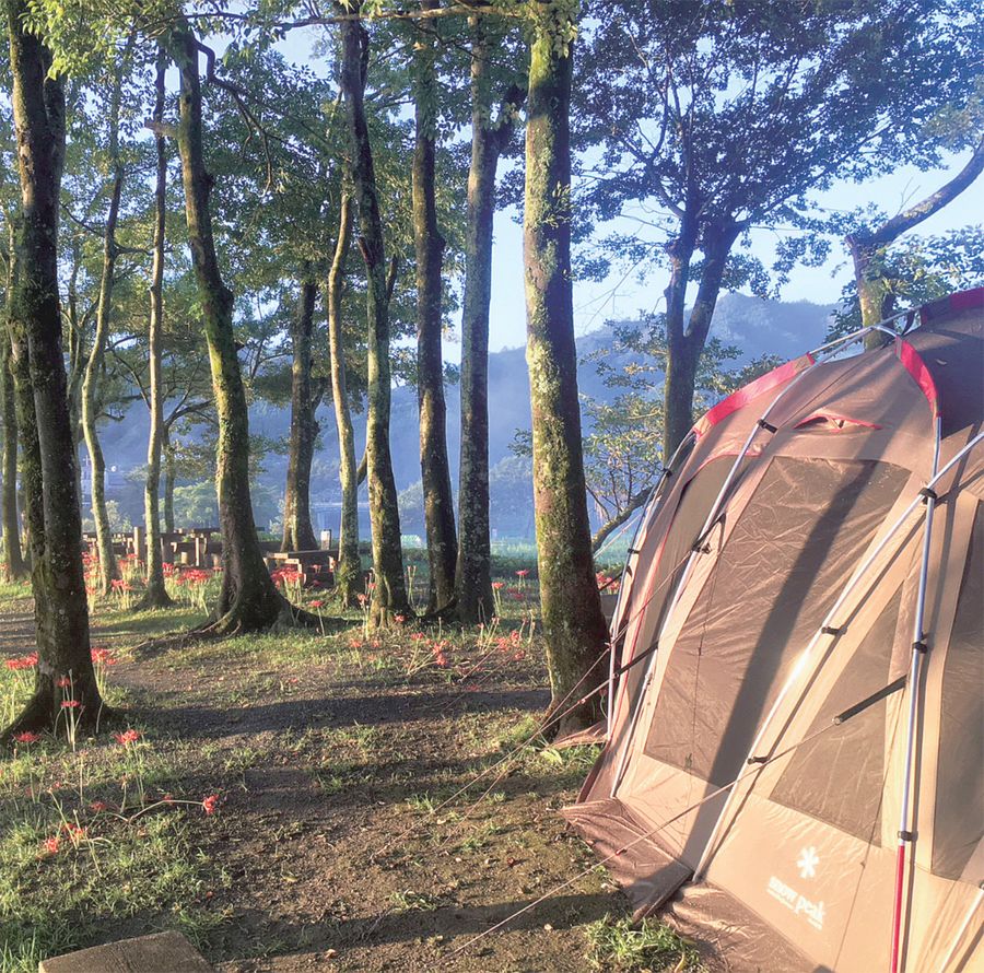 わが家のそばに自然豊かなキャンプ場がある豊かさを思う（越知町の宮の前公園）