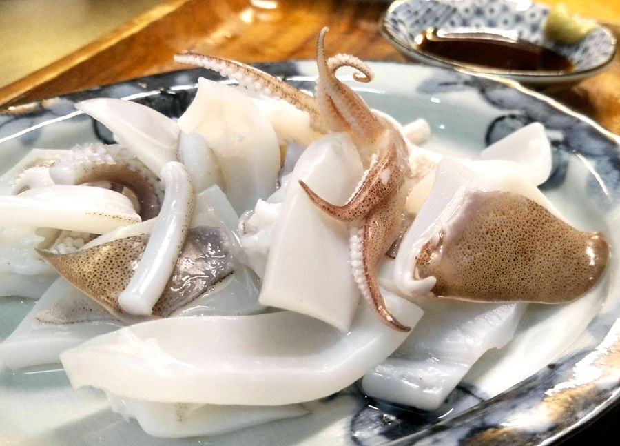 安定のイカ１匹 魚信 絶品 珍品 魚 びんび ん一皿 高知新聞