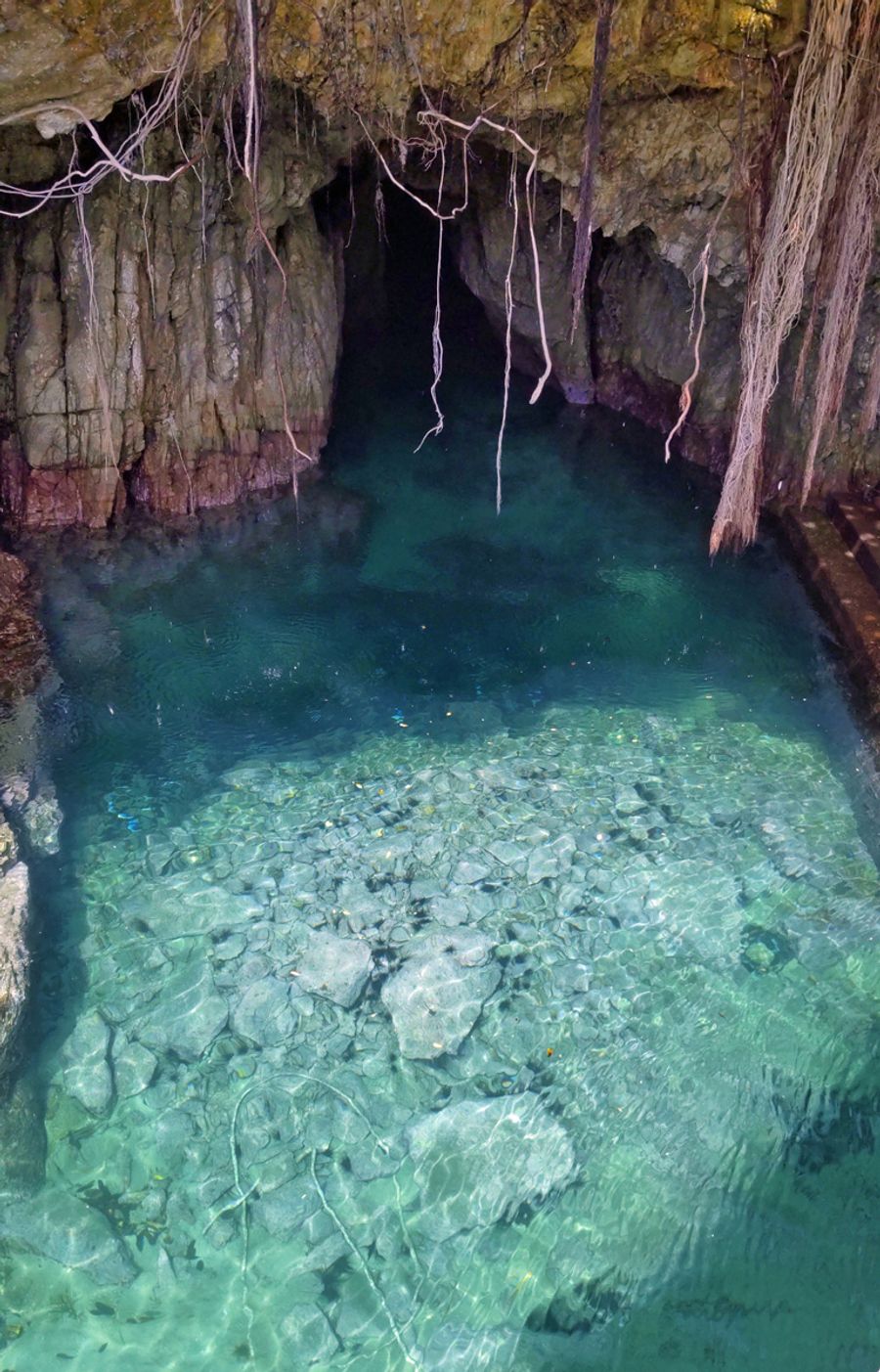 海底が透き通って見えるほど美しい洞窟の光景。時間帯や気象条件によって、その表情も変わる（写真はいずれも土佐清水市松尾）