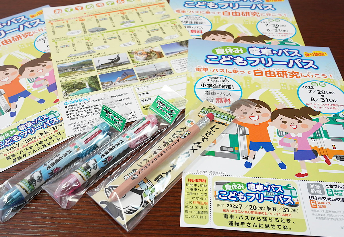 サマーランド フリーパス 通期利用可 5枚 激しい a