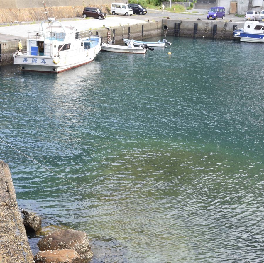 沖の島母島港 土砂堆積 定期船寄港に支障 臨時船着き場で対応 宿毛市 高知新聞