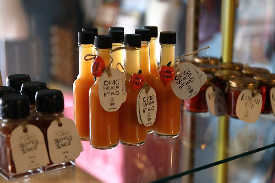 左から激辛のホットソース（キャロライナ・リーパー、トリニダード・スコーピオン、ブート・ジョロキア使用）、オレンジハバネロのホットソース、韓国唐辛子の塩漬けペースト