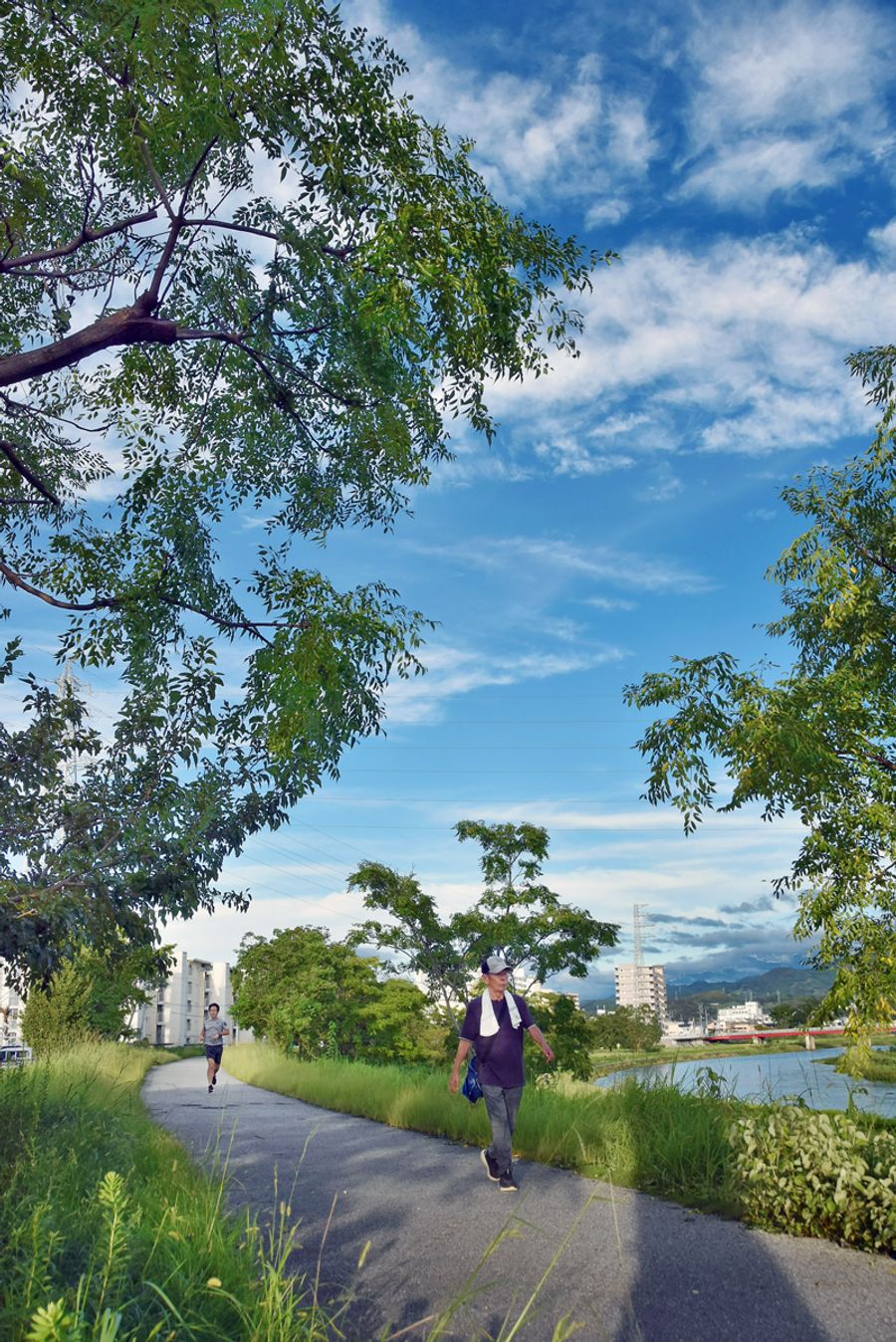 台風一過 澄んだ青空 高知県内 秋深まる 高知新聞