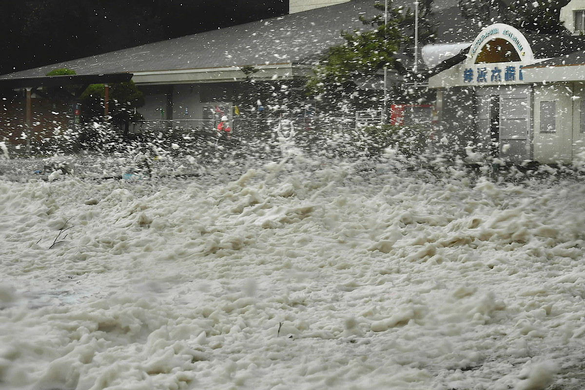 波の花 桂浜包む 台風１４号で 専門家 この規模すごい 高知新聞