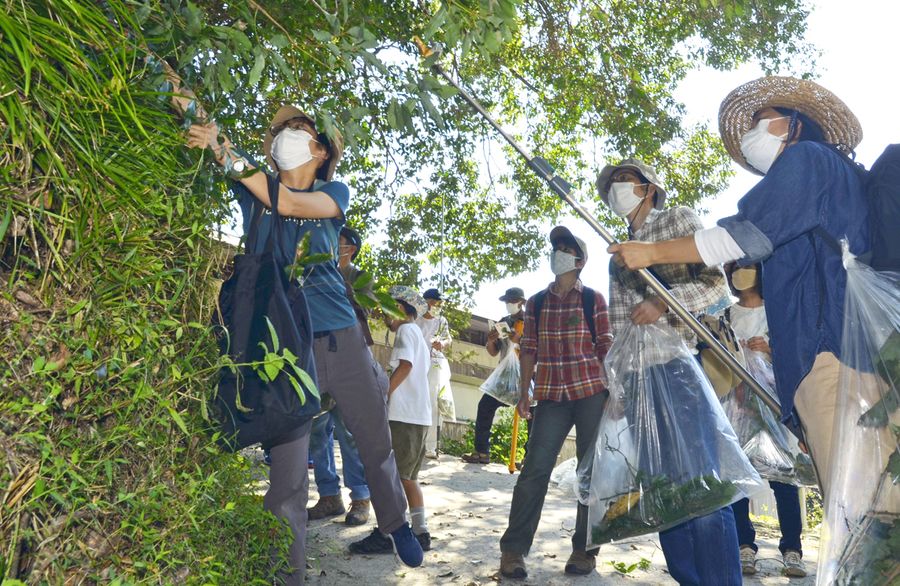 樹種の見分け方を学ぶイベントの参加者ら（本山町沢ケ内）