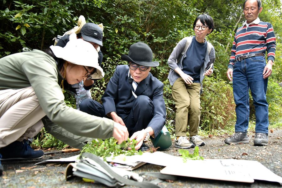 牧野富太郎博士の格好で植物採集をするいとうせいこうさん（中央）ら（佐川町甲）