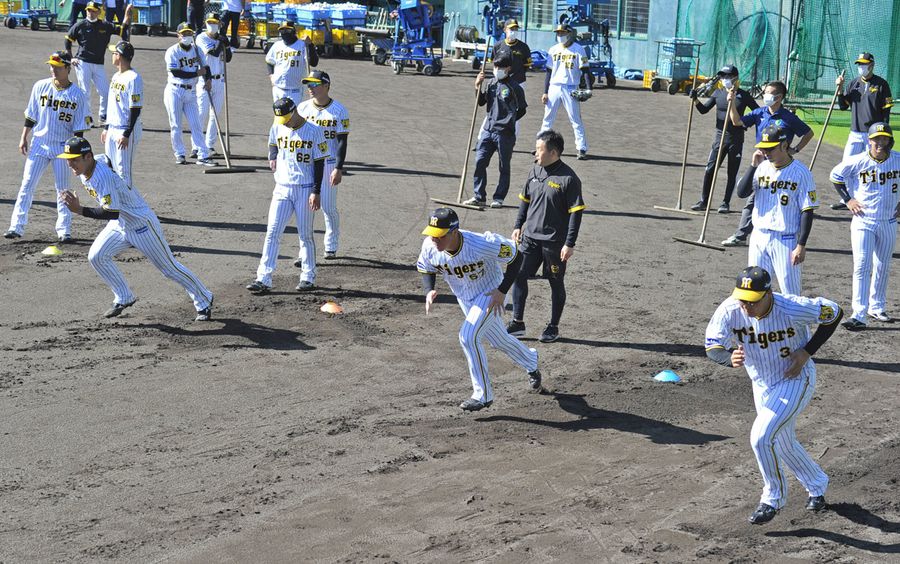 岡田新監督の下で３年ぶりに始まった阪神の秋季キャンプ（安芸市の安芸球場）