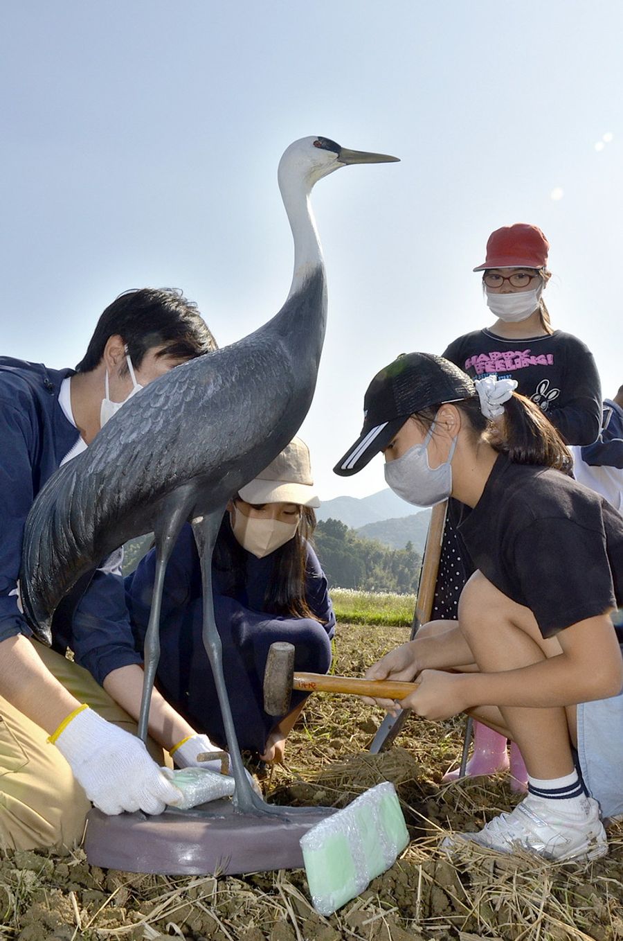 ナベヅルのデコイを設置する児童（四万十市江ノ村）