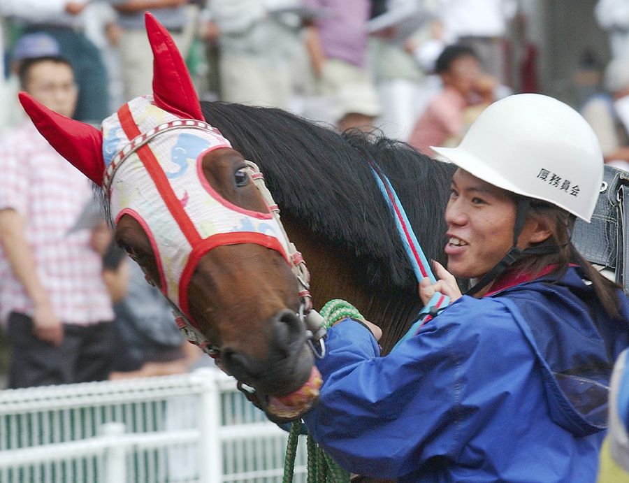 レース前のパドックで、ハルウララと健祐さん。象さん模様のメンコ（覆面）がユーモラス（高知競馬場）