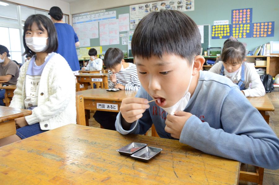 カツオの食べ比べをする児童ら（中土佐町の久礼小）