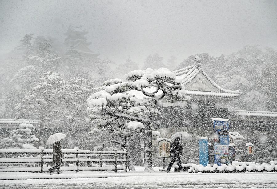 雪の高知城