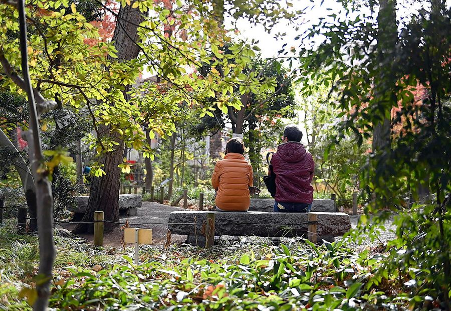 昼下がりのひととき。牧野も庭を眺め、穏やかな時間を過ごしたことだろう（写真はいずれも東京都練馬区東大泉）