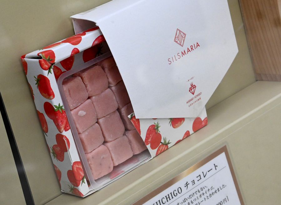 生チョコ発祥の店「シルスマリア」では、イチゴピューレとホワイトチョコを合わせた「MIGAKIICHIGO」が目を引きます。シャインマスカット味も入荷予定