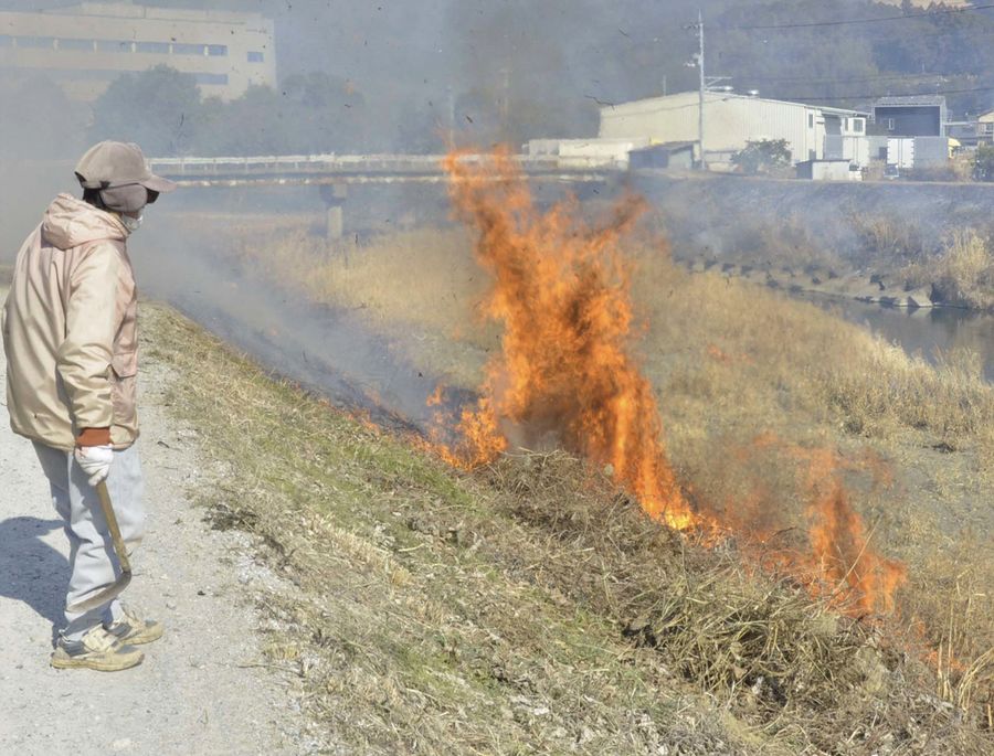 国分川沿いで行われた芝焼き（南国市久礼田）