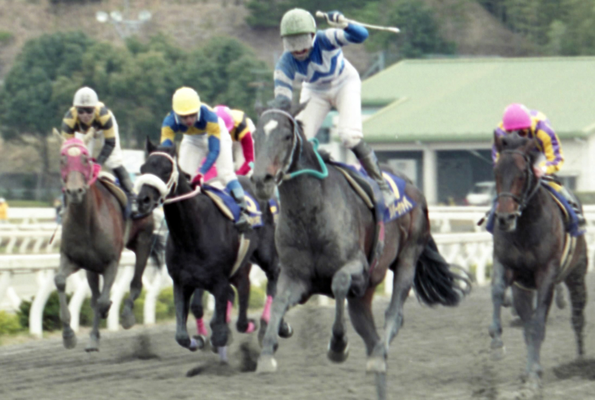中央勢蹴散らす豪脚 1998年の捲り 高知競馬場―月刊マル地