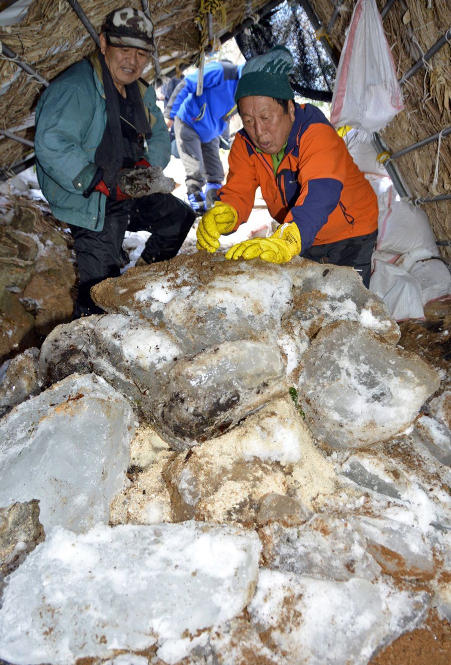 氷室に貯蔵された氷塊（いの町の手箱山）