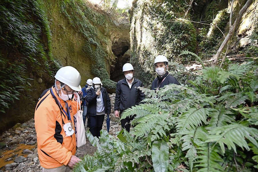 伊尾木洞を見学する参加者ら（安芸市伊尾木）