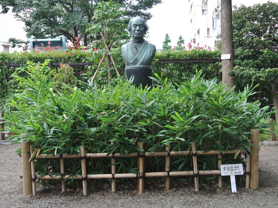 東京・練馬区立牧野記念庭園内にある牧野富太郎博士の胸像とスエコザサ（練馬区立牧野記念庭園提供）