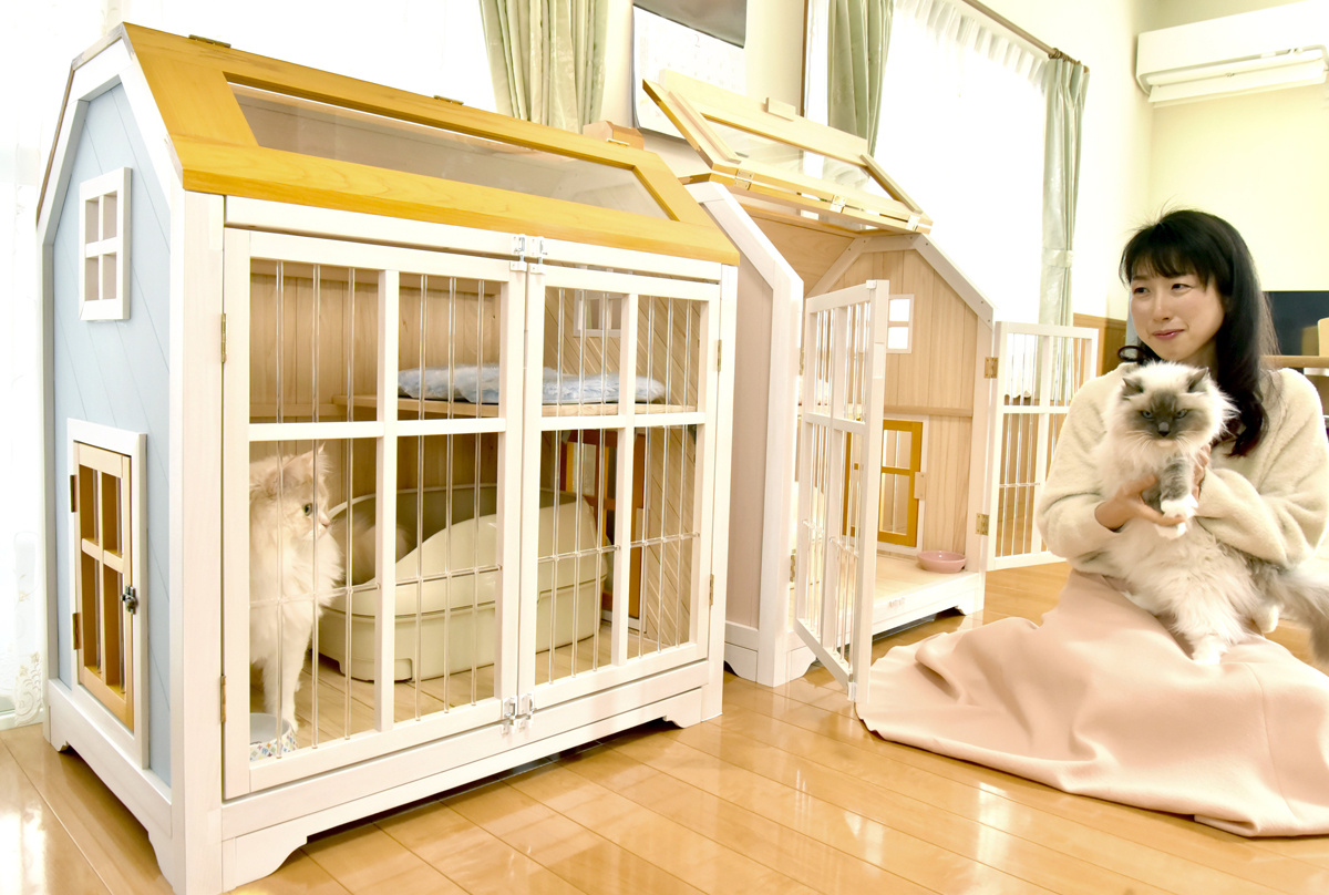 愛猫にかわいいケージを　日高村で女性が起業　ドールハウス型販売へ | 高知新聞