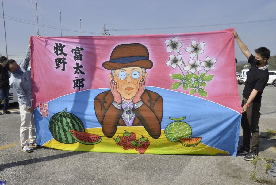 牧野博士や果物が描かれたフラフ(南国市廿枝の西島園芸団地)