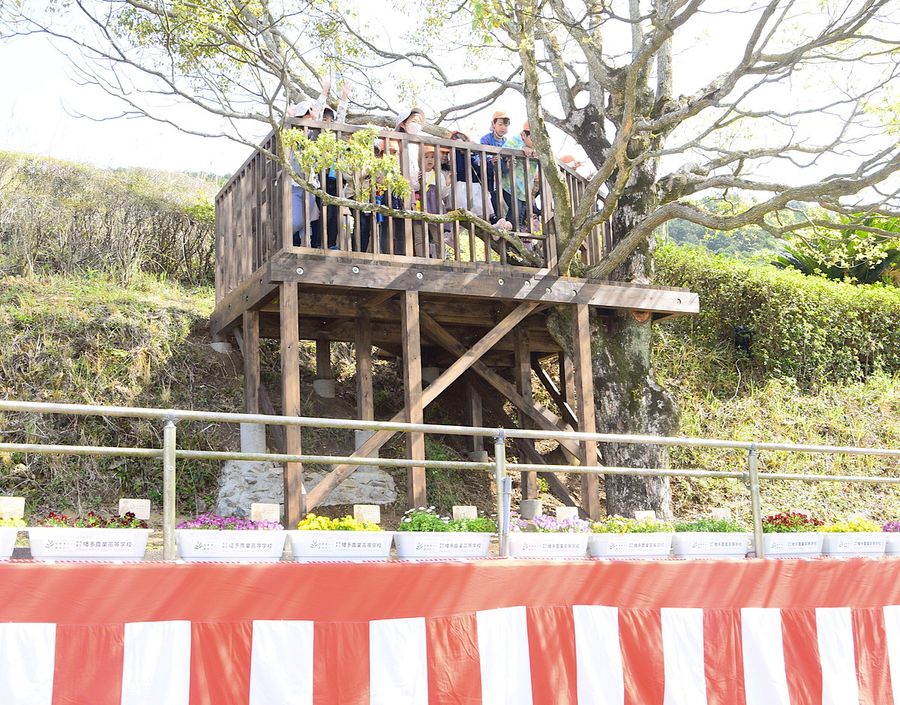 傾斜地に設けられたウッドデッキ(大月町弘見の道の駅ふれあいパーク大月)