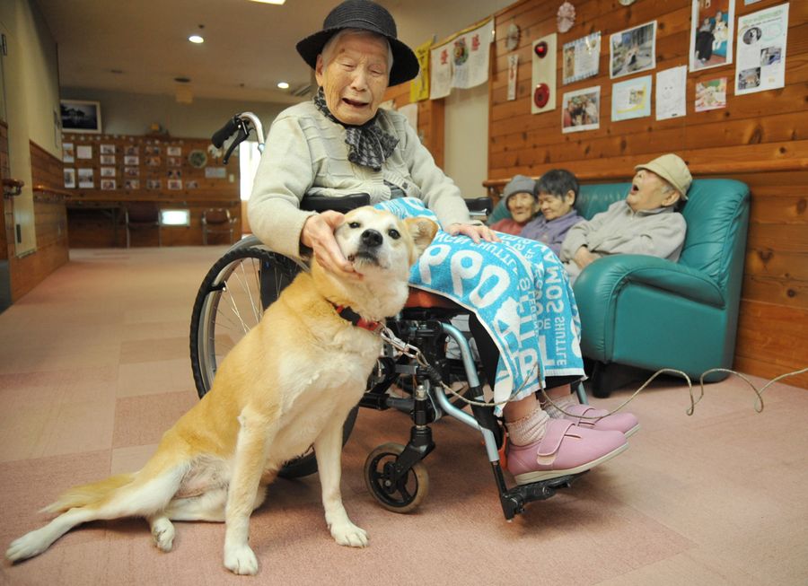 「ほんまにえい子じゃね」。入所者に頭をなでられるゴン太　（土佐町田井の特別養護老人ホーム「トキワ苑」）