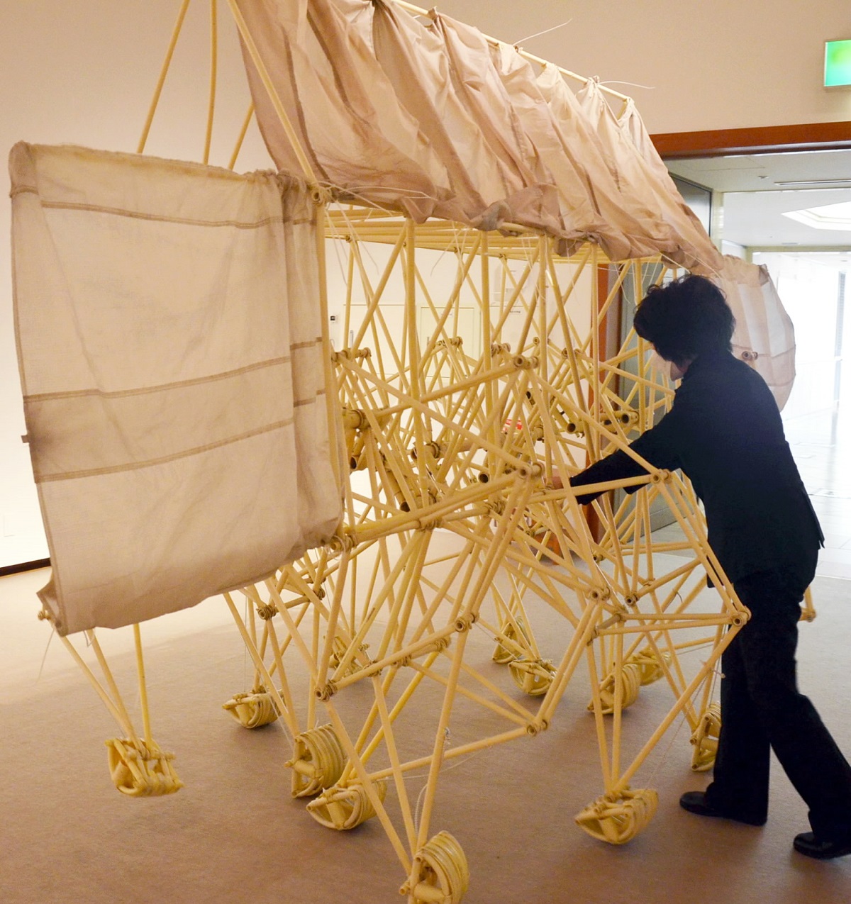 風を受け歩く「ビースト」展示 造形作家テオ・ヤンセンの四国初