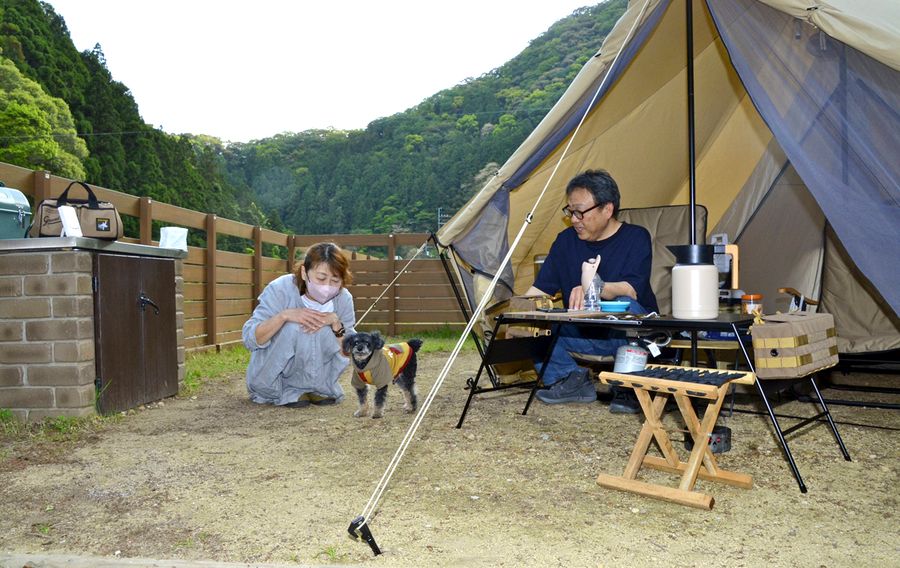 愛犬を自由に放してキャンプが楽しめるペットフリーサイト（写真はいずれも安田町の安田川アユおどる清流キャンプ場）