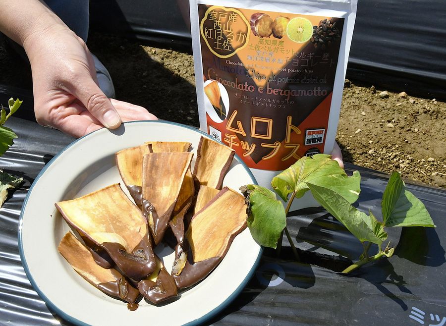 西山台地産のサツマイモを使ったムロト・チップス（写真はいずれも室戸市吉良川乙）