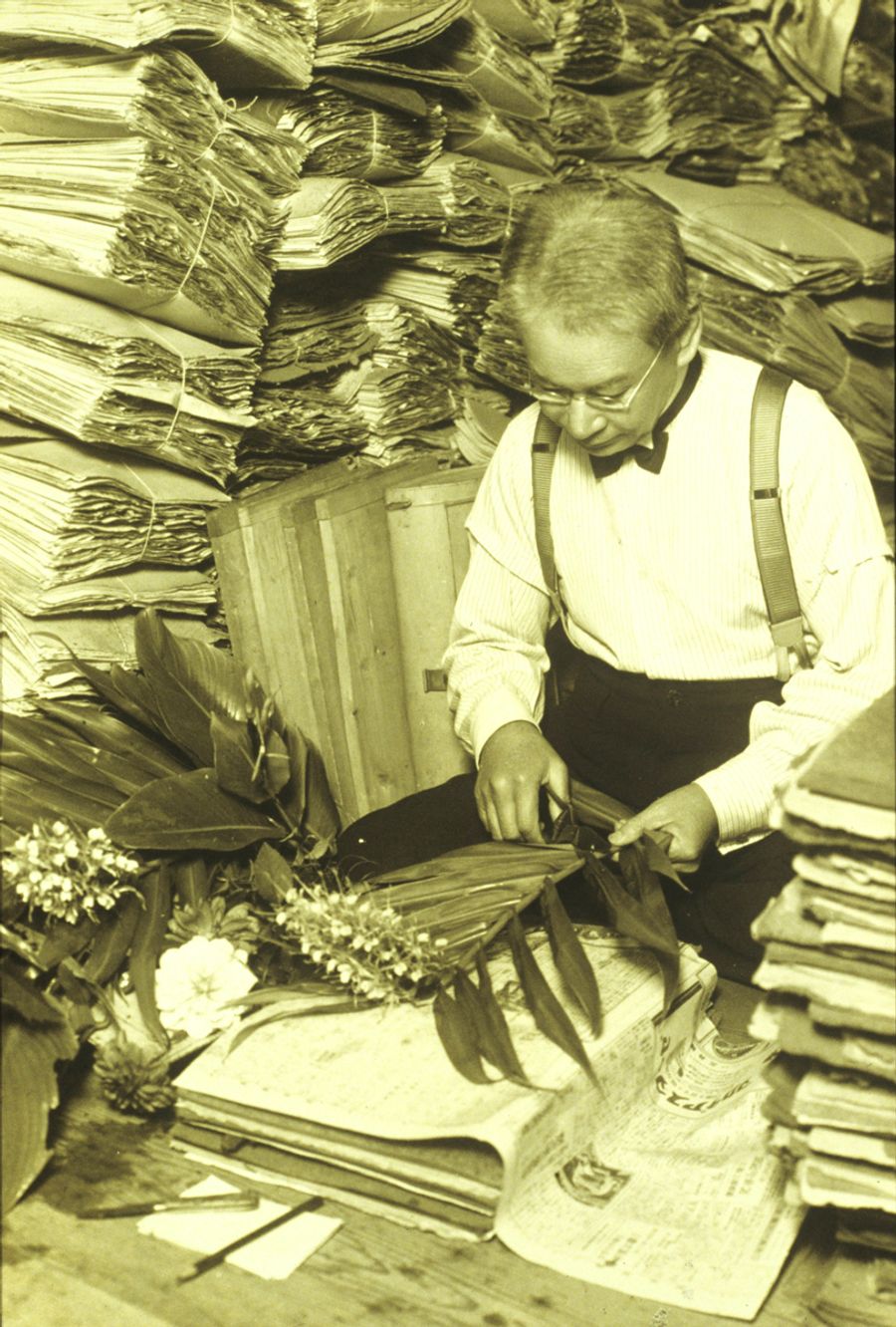 自宅で大量の標本に囲まれ作業する牧野富太郎博士（県立牧野植物園提供）