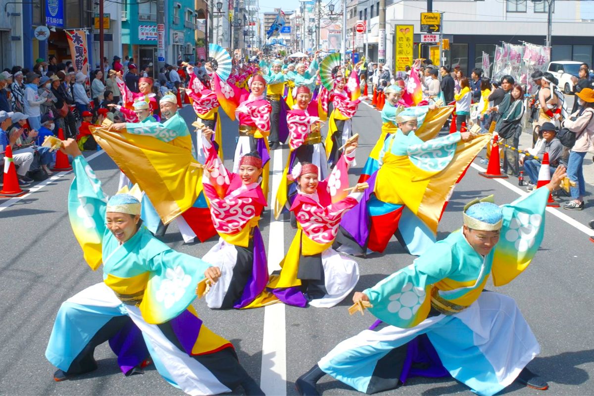 ぞっこん町田'98―2025よさこい祭り全チーム紹介 | 高知新聞