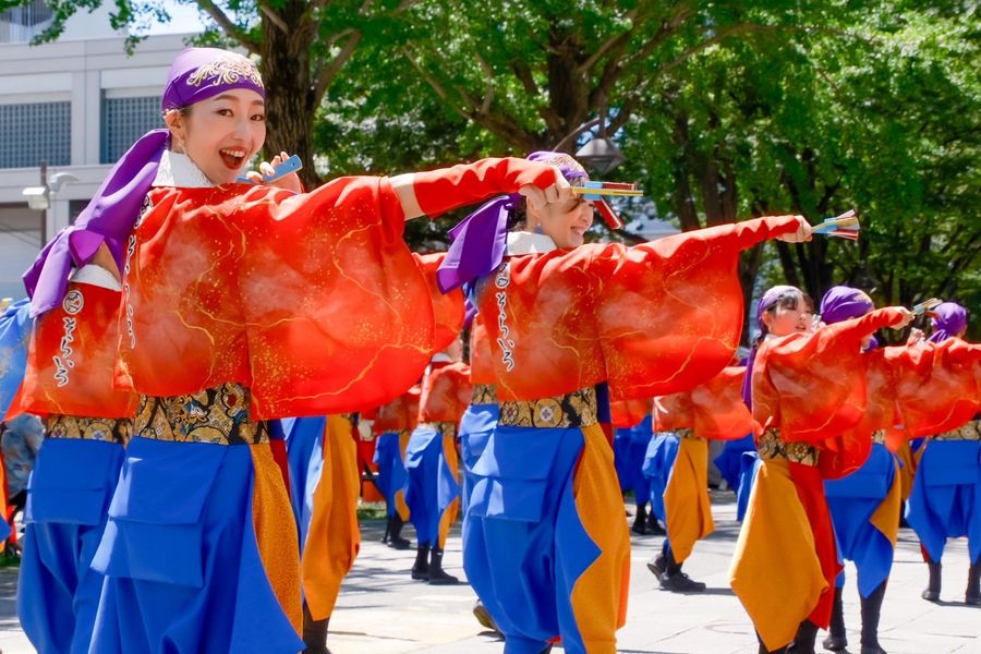 ２０２５年　チーム提供