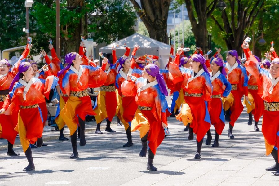 ２０２５年　チーム提供