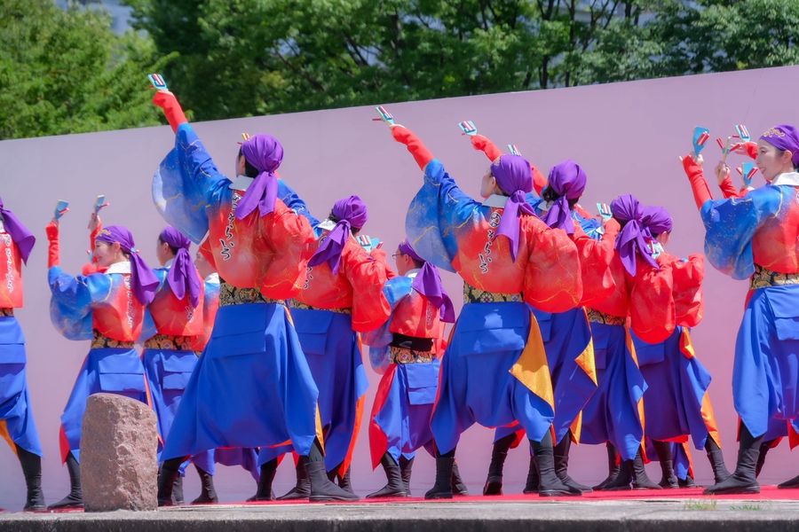 ２０２５年　チーム提供