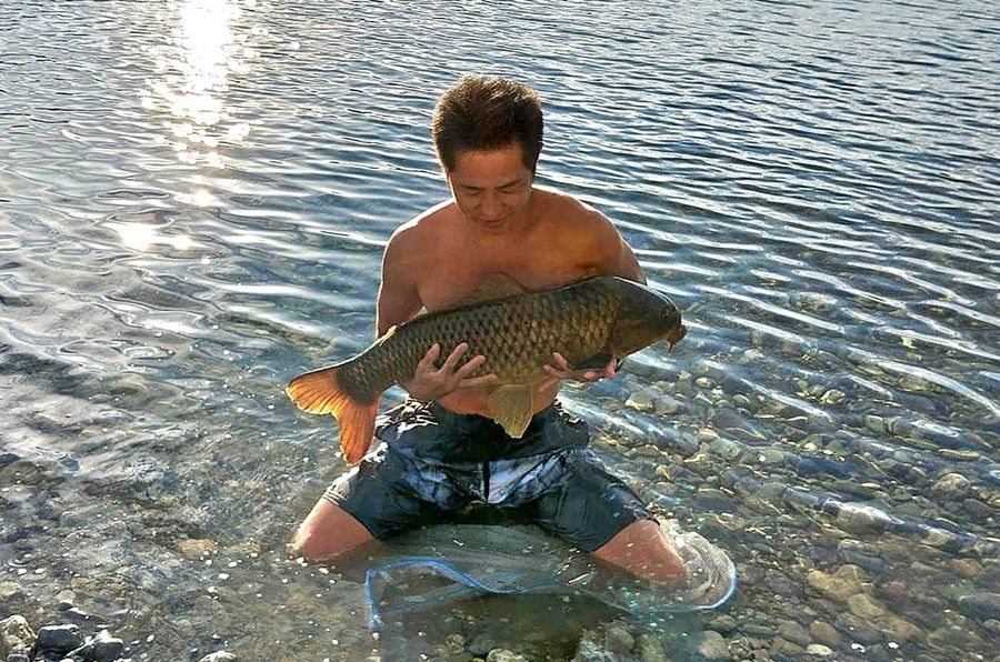 鯉を愛し、３０年以上狙う広井知一さん（仁淀川）