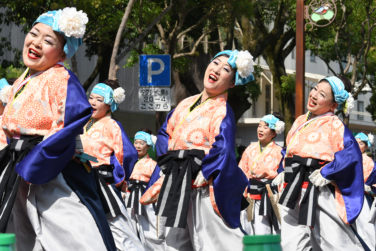 Always Yosakoi―2025よさこい祭り全チーム紹介 | 高知新聞
