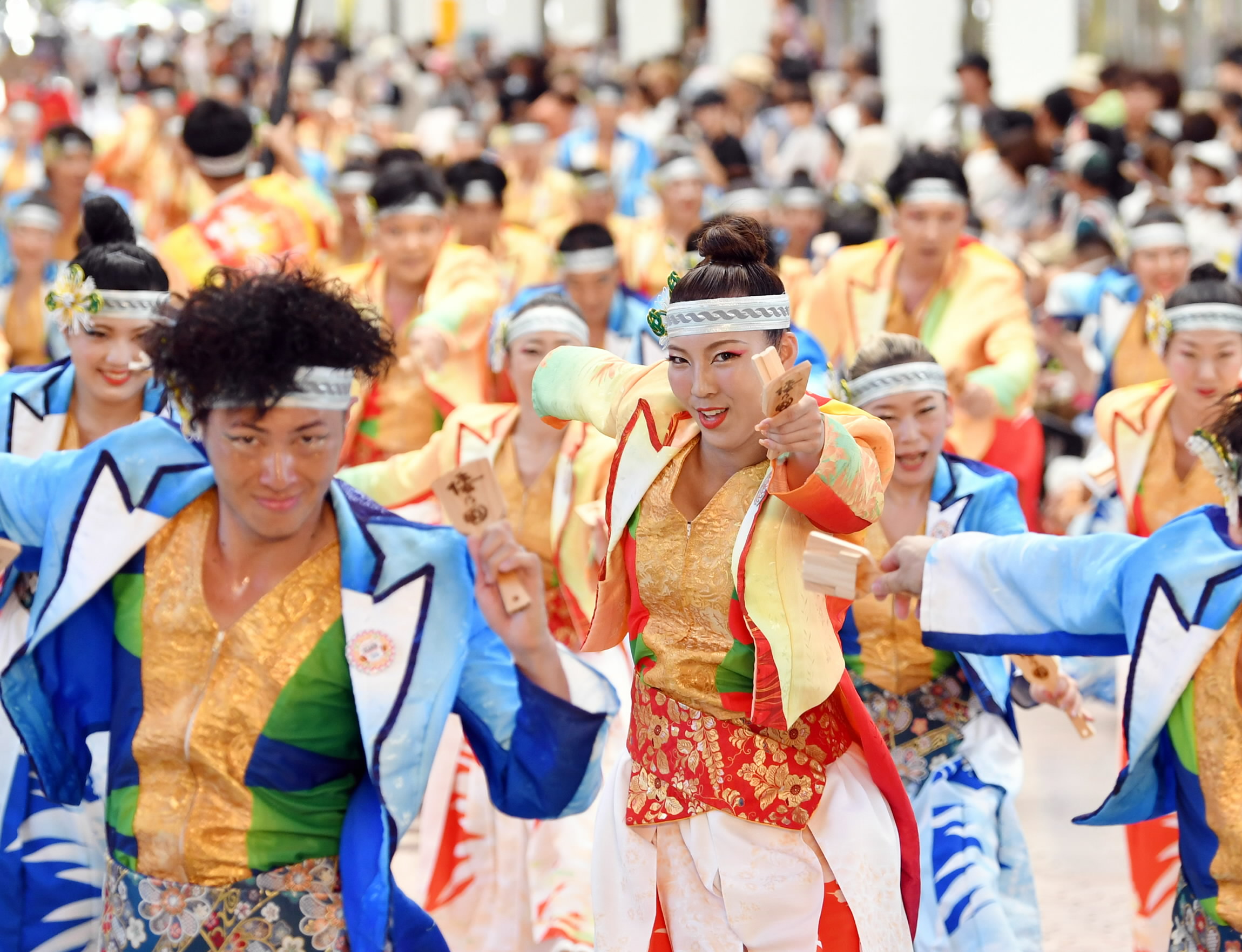 倭乃國―2024よさこい祭り全チーム紹介 | 高知新聞