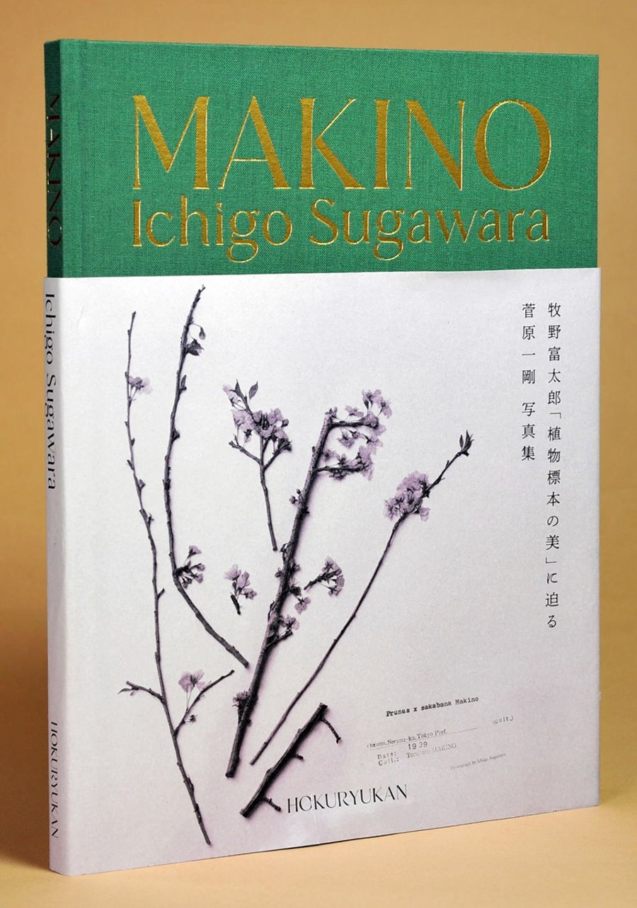牧野富太郎の標本４１点を撮影した菅原一剛さんの写真集「ＭＡＫＩＮＯ　植物の肖像」。帯は昨年の本紙ラッピング紙面に使われた桜「センダイヨシノ」