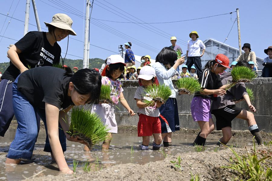 田植え体験を楽しむ子どもたち（芸西村和食甲）