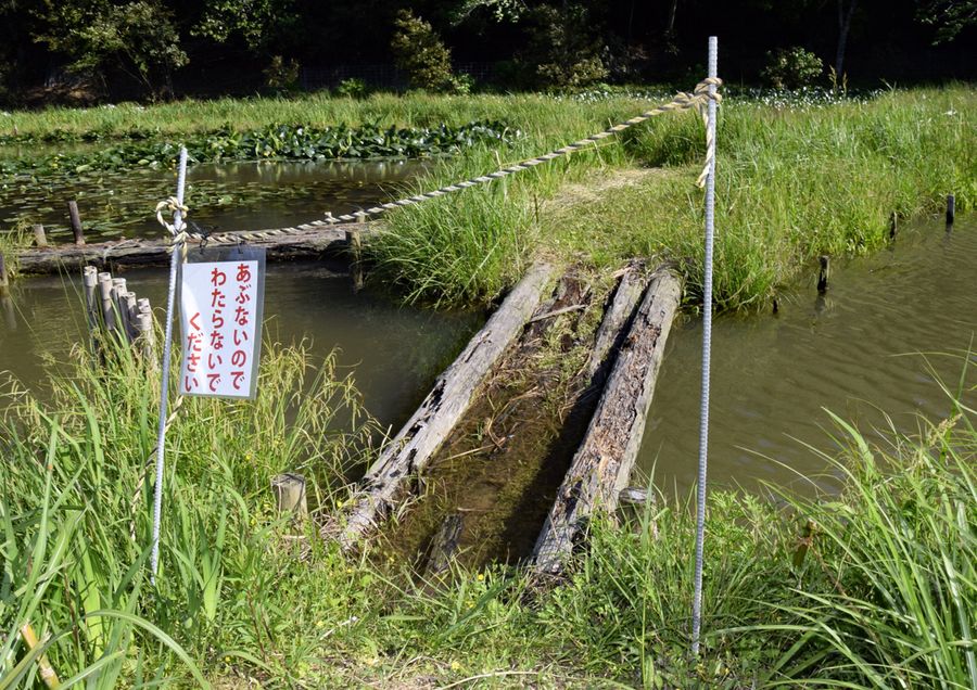 修理予定の橋。増水時は漬かり、木が腐った(写真はいずれも四万十市具同のトンボ自然公園)