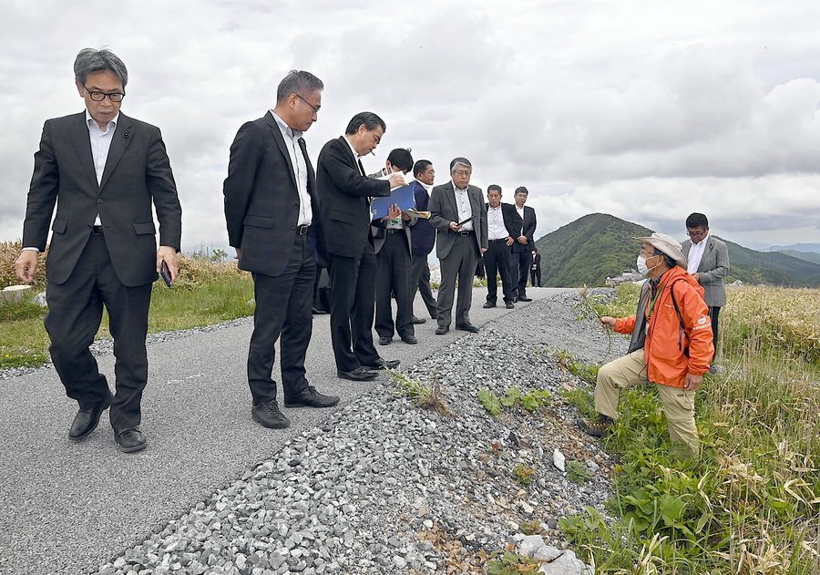 整備前の遊歩道沿いでは見られなかったというキツネアザミを示して県議に説明する熊田光男さん(右手前)=津野町の天狗高原(森本敦士撮影)