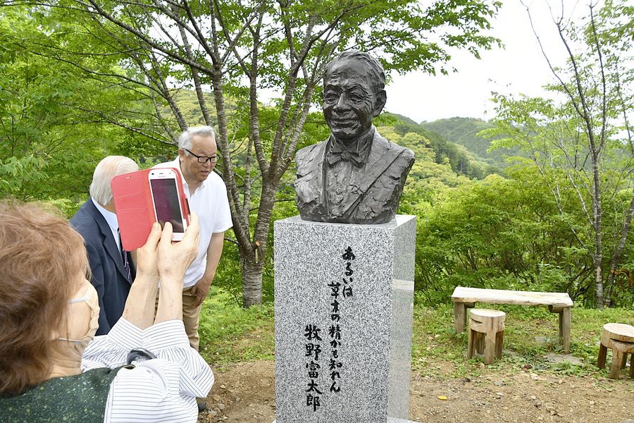 全国からの寄付で新たに建立された牧野富太郎博士の胸像（佐川町の牧野公園）