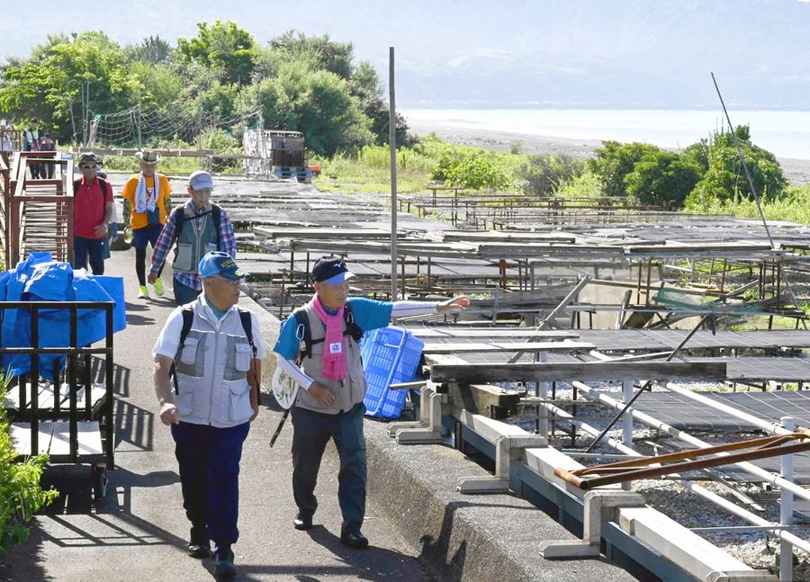 「じゃこ通り」と呼ばれる安芸海岸沿いを歩く参加者（安芸市千歳町）